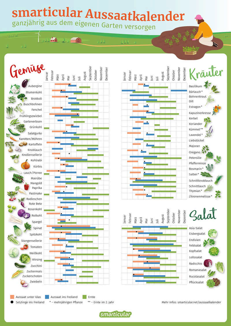 Aussaatkalender: ganzjährig frisches Gemüse, Kräuter und Blumen aus dem Garten | Garten anpflanzen, Garten ideen gemüse, Aussaat kalender