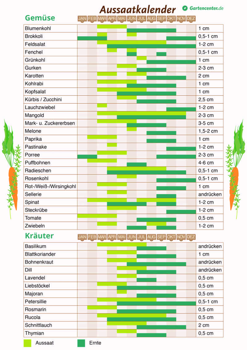 Pflanzkalender 2018: Wann man Gemüse und Kräuter pflanzen kann