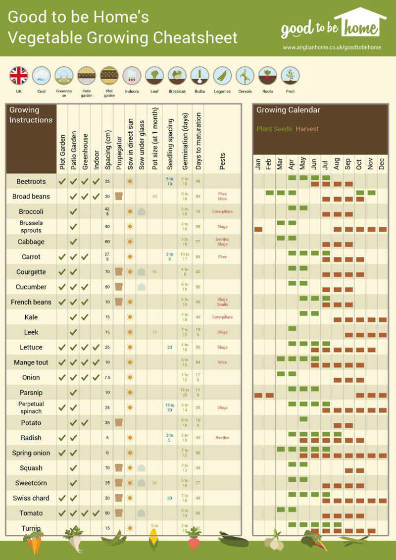 Your Personalised Vegetable Growing Cheat Sheet